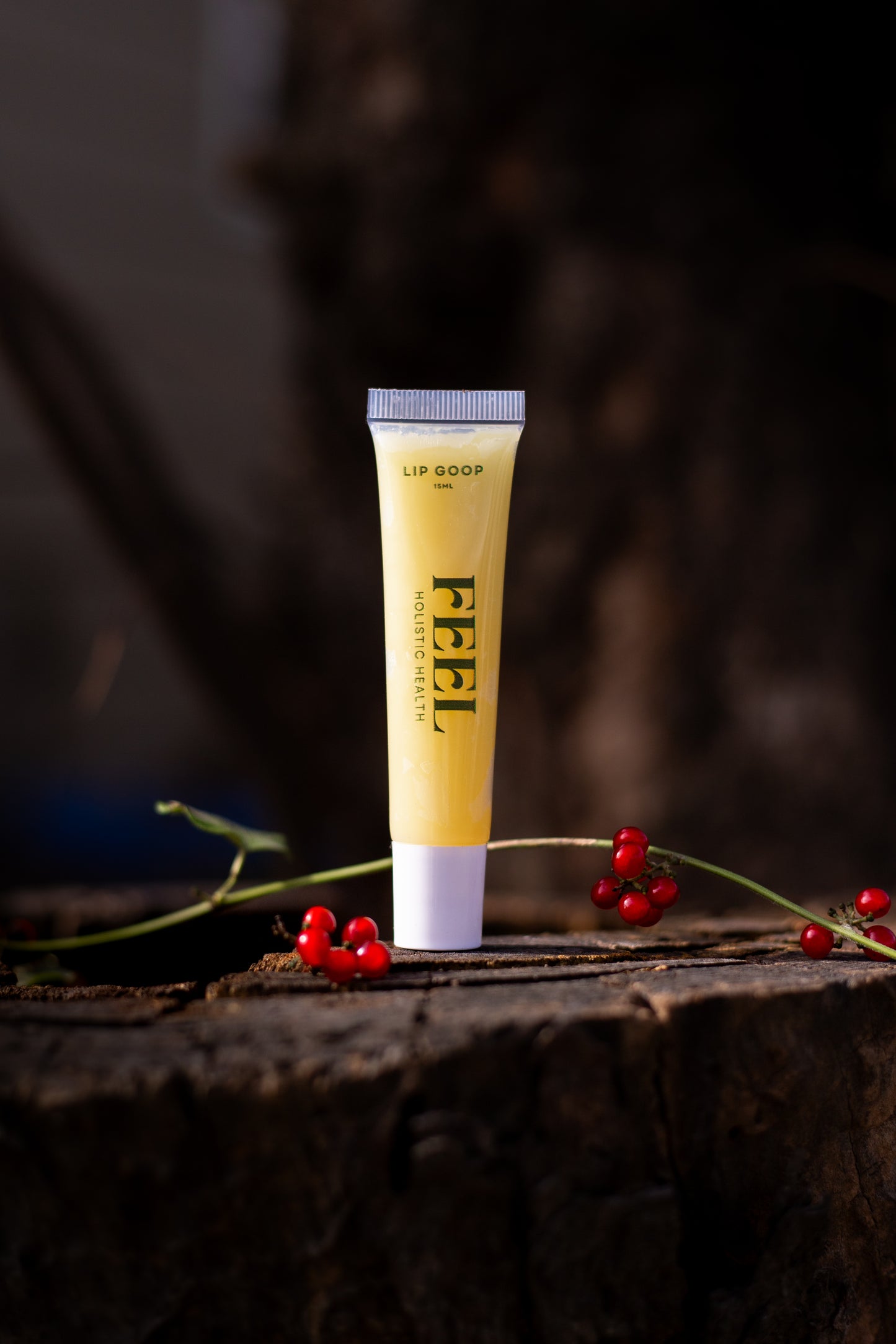 Overnight Healing Lip Goop + All Day Lip Goop BUNDLE