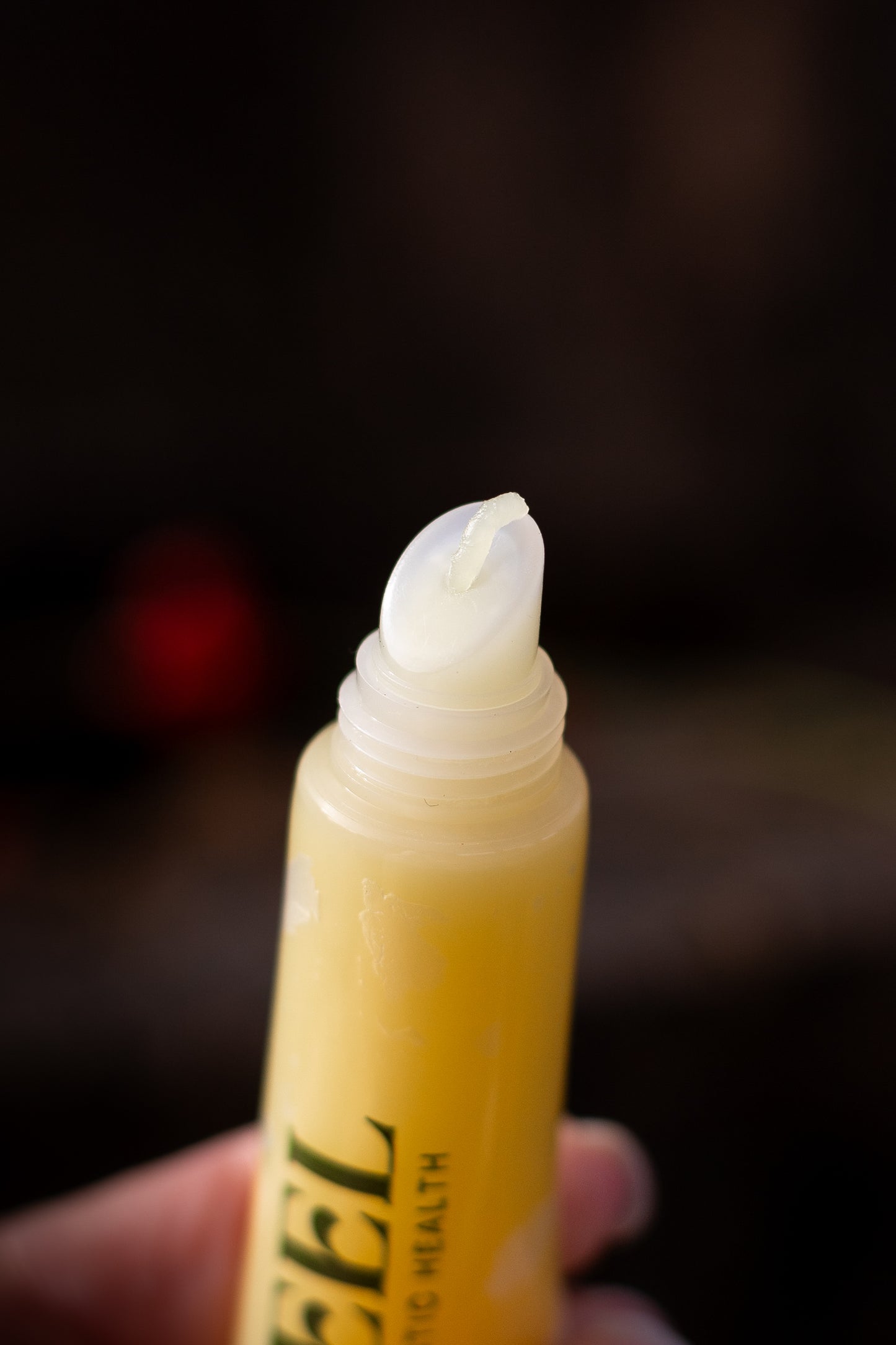 Overnight Healing Lip Goop + All Day Lip Goop BUNDLE